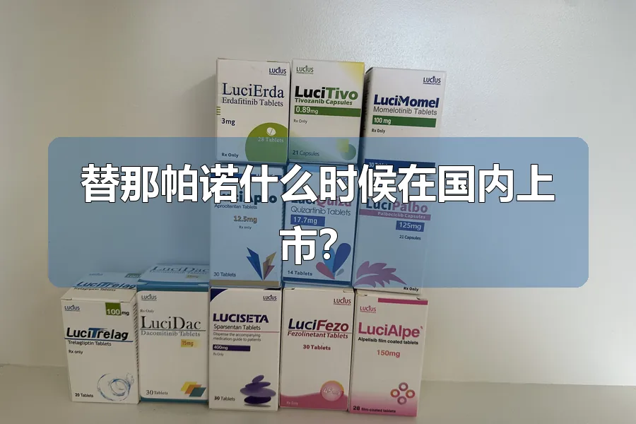 替那帕诺什么时候在国内上市？